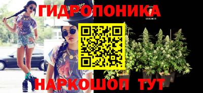 стафф Тула