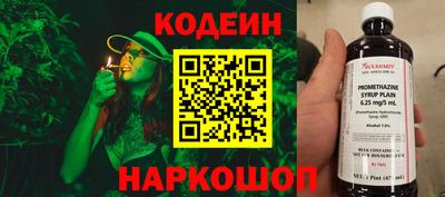 индика Тулун