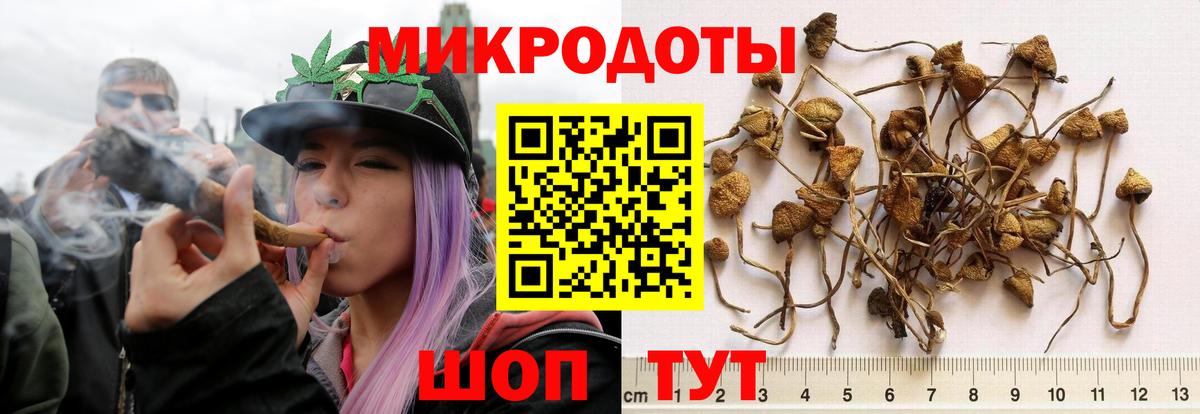 Псилоцибиновые грибы Cubensis  Галлюциногенные грибы Psilocybine cubensis  Вход с VPN  Назрань 