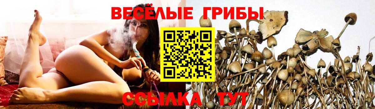 Псилоцибиновые грибы мицелий Назрань