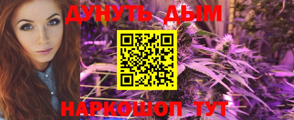 Конопля конопля Назрань